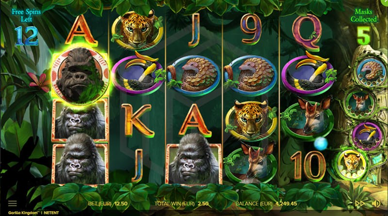 casinofollower betchain gorilla kingdom slot